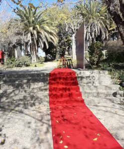 Alternative view of Servicio de Instalación Pasillo de Alfombra