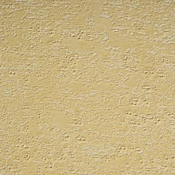 Papel Mural Tacami